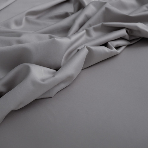 perla-grey,cat-hover