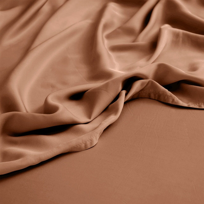 toffee---new,cat-hover