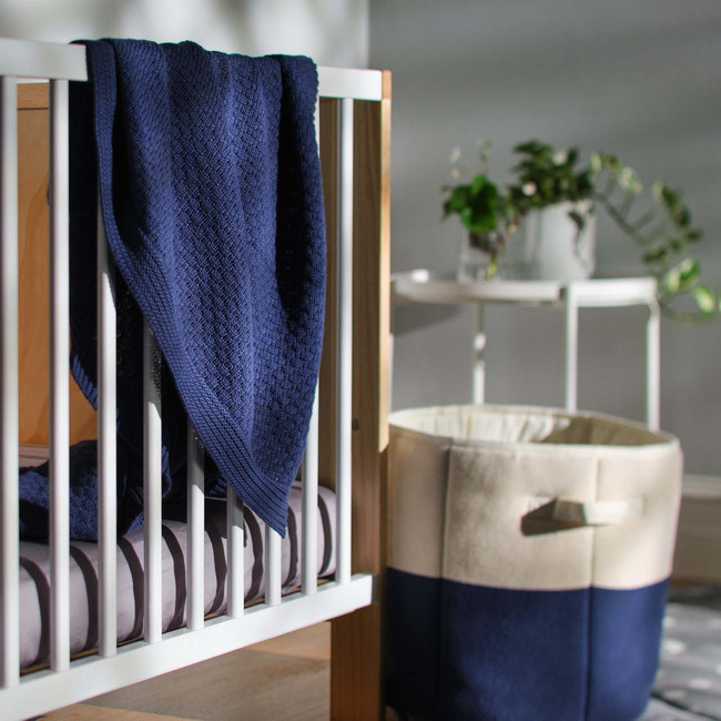 indigo,first,cat-hover