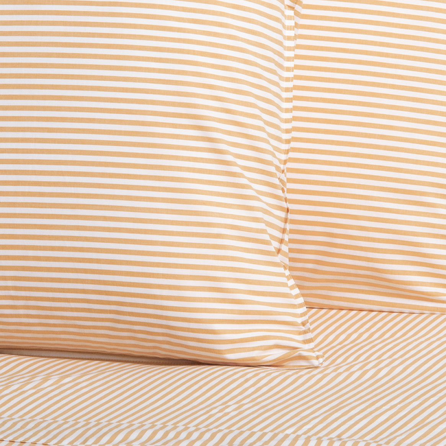 Cotton Mini Stripe Honey European Pillowcase Pair - Modella