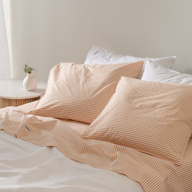 Cotton Mini Stripe Honey European Pillowcase Pair - Modella