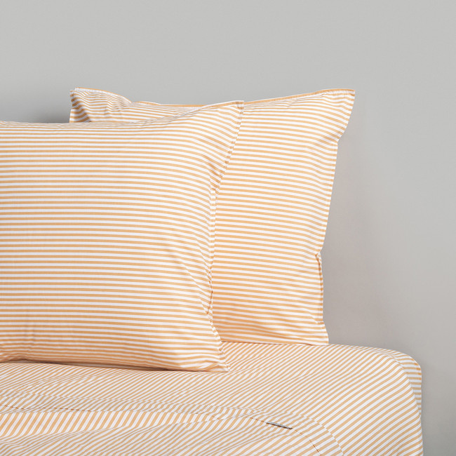 Cotton Mini Stripe Honey European Pillowcase Pair - Modella