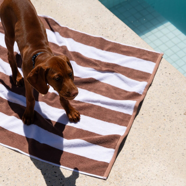 Striped Cabana Cotton Terry Beach Towel - Nutmeg
