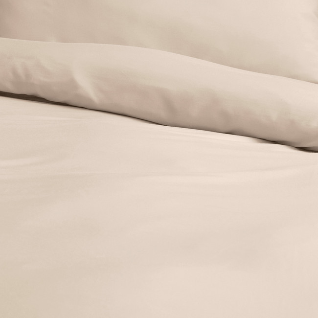 latte---new,cat-hover