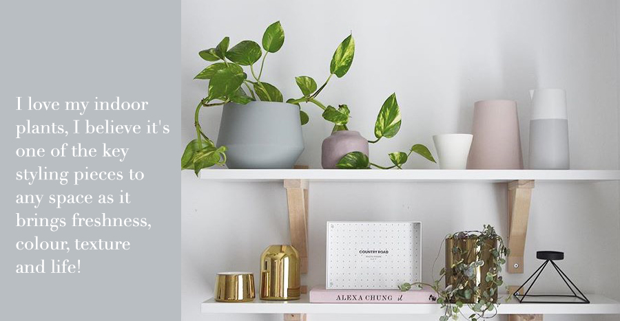 Styling Piece Plants