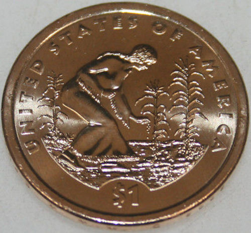 2009-D Sacagawea Native American Dollar Uncirculated BU Golden