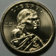 20017-D Sacagawea Native American Dollar Uncirculated BU Golden