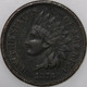 1876-P Indian Cent Popular Collector Coin Over 100 years old As Shown [SN04]