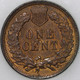 1907-P Indian Cent Over 100 years old As Shown [SN04]