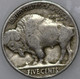 1923-P Buffalo Nickel, Popular Collector Coin As Shown [SN02]