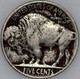 1921-P Buffalo Nickel, Popular Collector Coin As Shown [SN01]