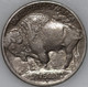 1913-D Buffalo Nickel Variety 1, Popular Collector Coin As Shown [SN02]