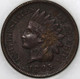 1895-P Indian Cent Over 100 years old As Shown [SN03]