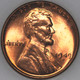1949-D Wheat Cent Popular Collector Coin Uncirculated As Shown [SN01]