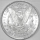 1884-O Morgan Dollar, King of US Coin Collecting [SN02]
