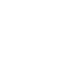 Local USA support icon