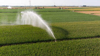 Plott Carta measuring wheel irrigation plumbing zone mapping