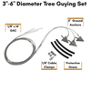 3"-6" Diameter Tree Guying Set