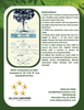 3"-6" Diameter Tree Guying Set