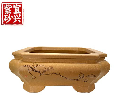 Square pot with decoratively shaped sides 24.5x10x24.5cm