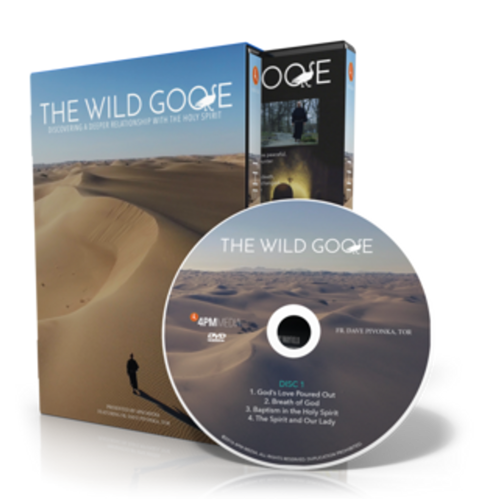 The Wild Goose - 4PM Media - (DVD SET)