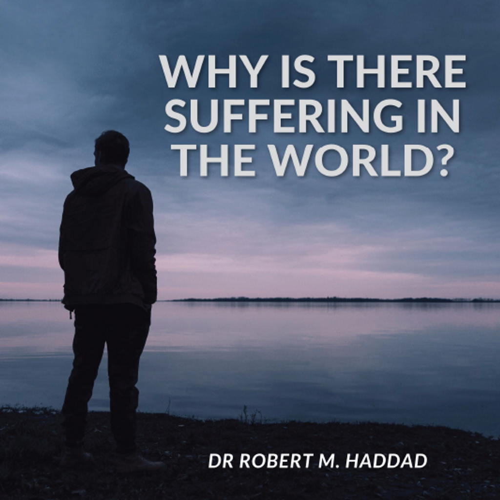 Why is There Suffering in The World? - Robert Haddad - Arts Media (CD)
