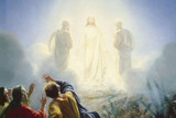 What is the Transfiguration?