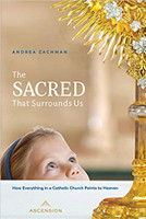The Sacred That Surrounds Us: How Everything in a Catholic Church Points to Heaven - Andrea Zachman - Ascension (Paperback)