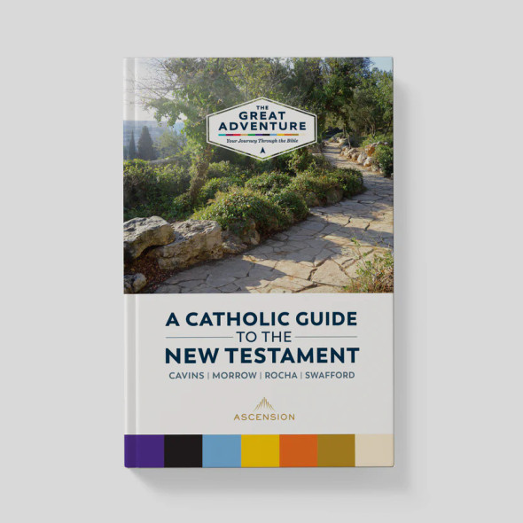 A Catholic Guide to the New Testament - Jeff Cavins, Jeffrey Morrow, Biff Rocha, Andrew Swafford - Ascension (Hardcover)