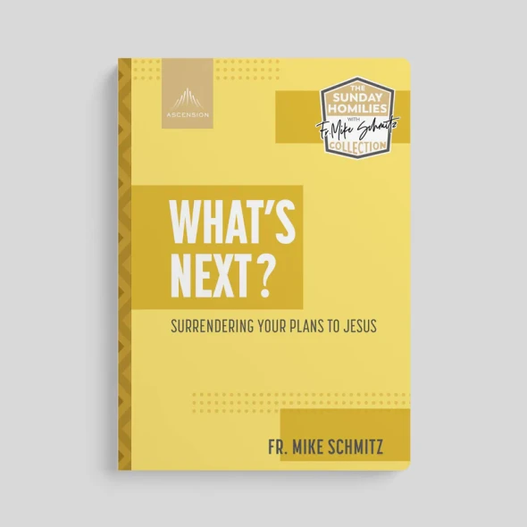 What's Next? Surrendering Your Plans To Jesus - Fr. Mike Schmitz - Ascension (Paperback)