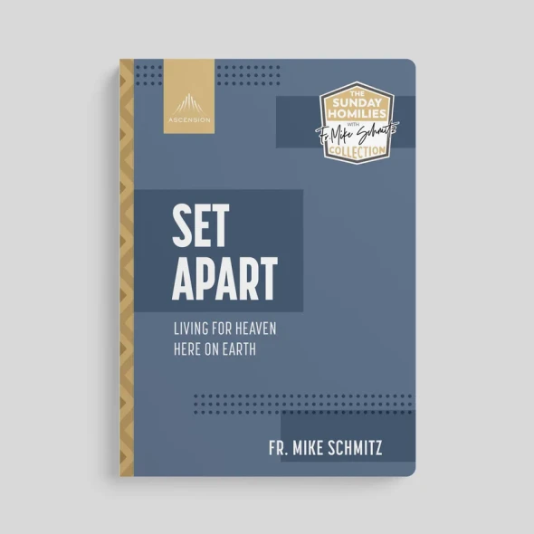 Set Apart: Living For Heaven Here On Earth - Fr. Mike Schmitz - Ascension (Paperback)