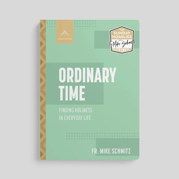 Ordinary Time: Finding Holiness In Everyday Life - Fr. Mike Schmitz - Ascension (Paperback)