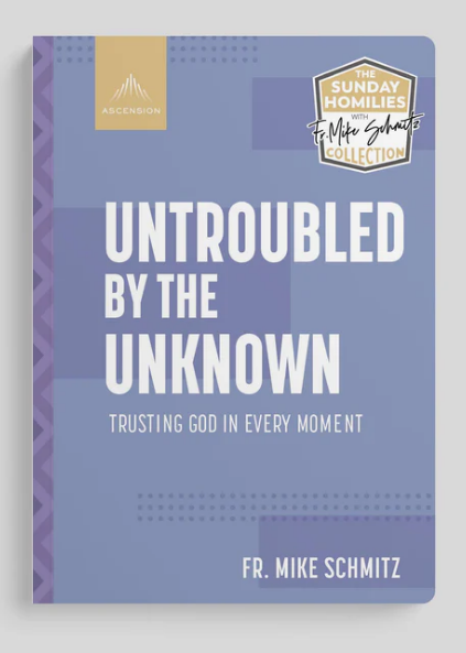 Untroubled by the Unknown: Trusting God in Every Moment - Fr Mike Schmitz - Ascension (Paperback)