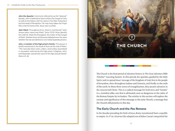 A Catholic Guide to the New Testament - Jeff Cavins, Jeffrey Morrow, Biff Rocha, Andrew Swafford - Ascension (Hardcover)