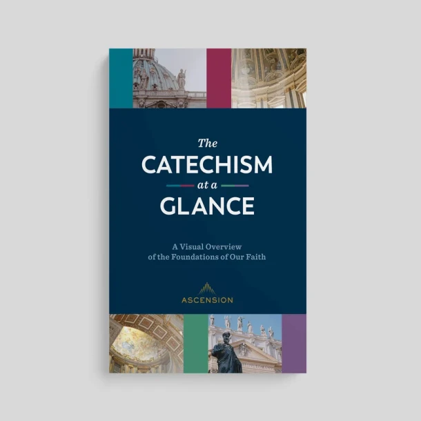 Foundations of Faith: A Journey Through the Catechism of the Catholic Church - Dr Edward Sri and Dr Marcellino D'Ambrosio - Ascension (Workbook)