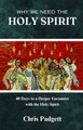 Why We Need the Holy Spirit - Chris Padgett (Paperback)