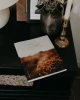 Seek His Kingdom: A Meditation on Matthew - Blessed is She (Paperback)