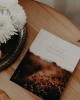 Seek His Kingdom: A Meditation on Matthew - Blessed is She (Paperback)