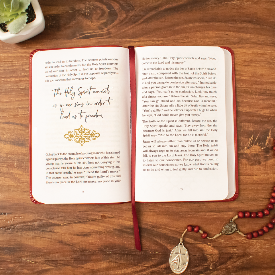 Pocket Guide to the Sacrament of Reconciliation Fr Mike Schmitz