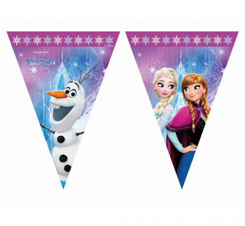 Banner 9 stegulete plastic Frozen Northern Lights - 2.3 m