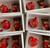 Set 10 figurine decor - Love Lv