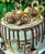 Set 20 stelute decor