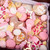 Set 20 stelute decor