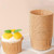 Set 24 forme de copt pentru briose, termorezistente - Natur