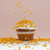 Stelute Aurii  Sprinkles Dharst 300g