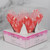 Set 24 Chese briose termorezistente - xox