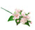 Decoratiuni comestibile din zahar - set 5 buc. Ramura flori de mar