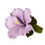 Set 3 decoratiuni comestibile din zahar - Hibiscus - ROSU