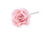 Set 3 decoratiuni comestibile din zahar - Trandafir mare - ROZ