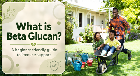 What Is Beta Glucan? A Beginner-Friendly Guide to Immune Support